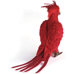 Peluche The Noble Collection Harry Potter Fenix Fawkes