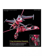 Hg 1 - 144 infinite justice gundam type ii re - run