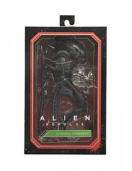 Ultimate scorched xenomorph scale action fig. 23 cm alien: romulus