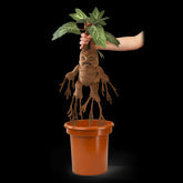 Peluche interactivo the noble collection harry potter mandrágora