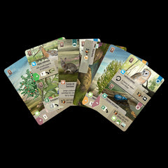 Juego de mesa forest shuffle dartmoor