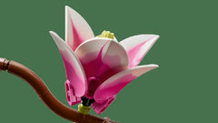 Lego Botanicals Ramas De Magnolia