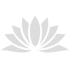 Pes 2018 Edicion Premium Sony Playstation 4 PS4