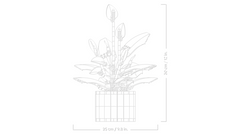 Lego Botanicals Lirio De La Paz